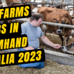 DAIRY FARMS JOBS IN FARMHAND AUSTRALIA 2023
