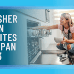 DISHWASHER JOB IN FRESH BITES CAFE JAPAN 2023