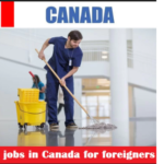 cleaner post