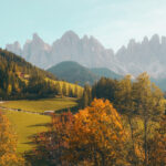 natures-01.jpg