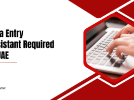 Data Entry Assistant