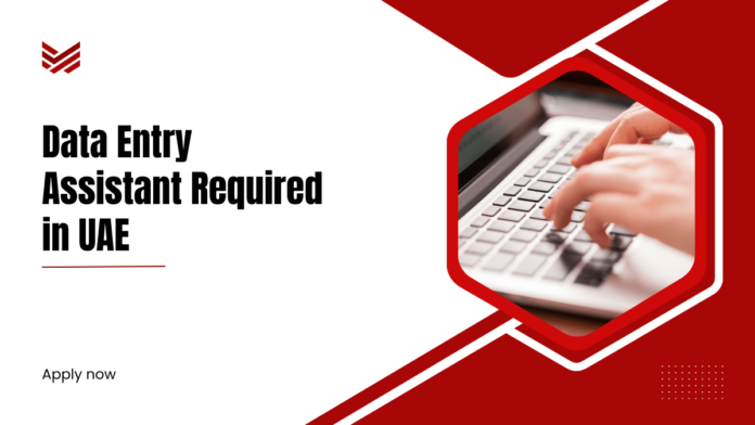 Data Entry Assistant