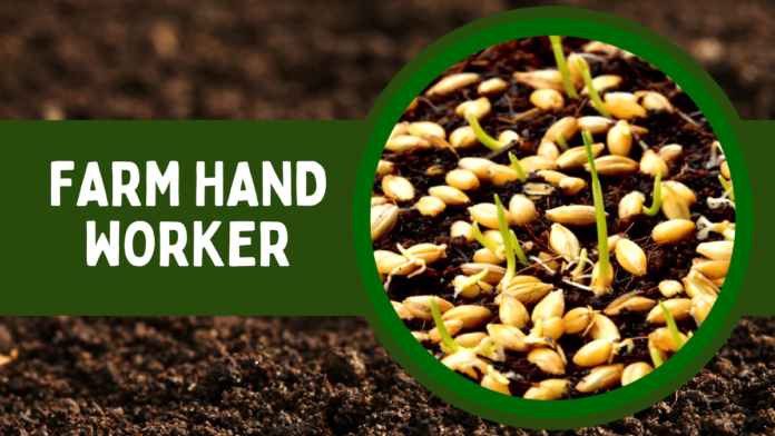 Farm Hand Worker Anco Seed and Turf Pty Ltd