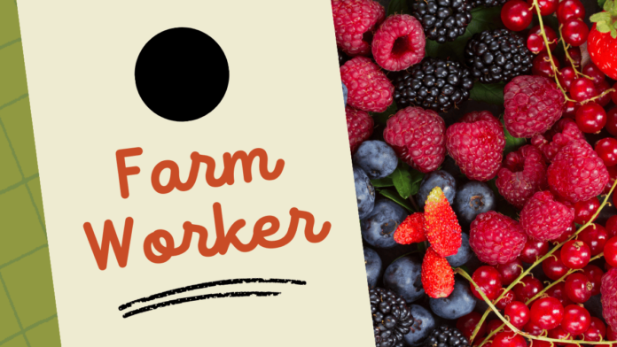 Farm Worker Sunrise Berries Limited