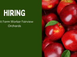 Fruit Farm Worker Fairview Orchards