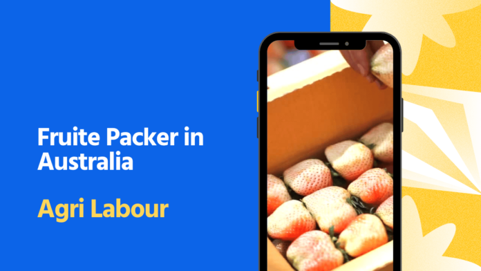 Fruit Packer Agri Labour Australia