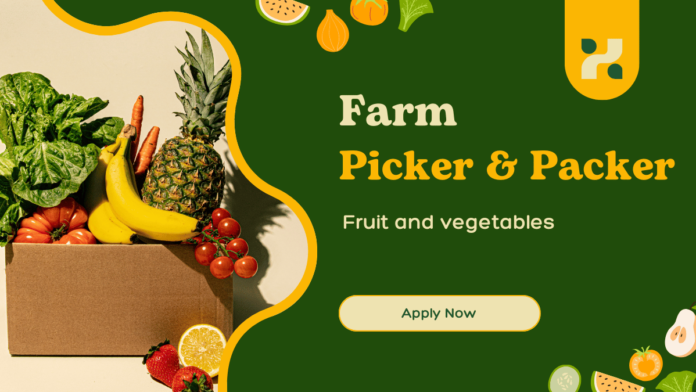 Fruit & Vegetable Picker & Packer FMD Produce Pty Ltd
